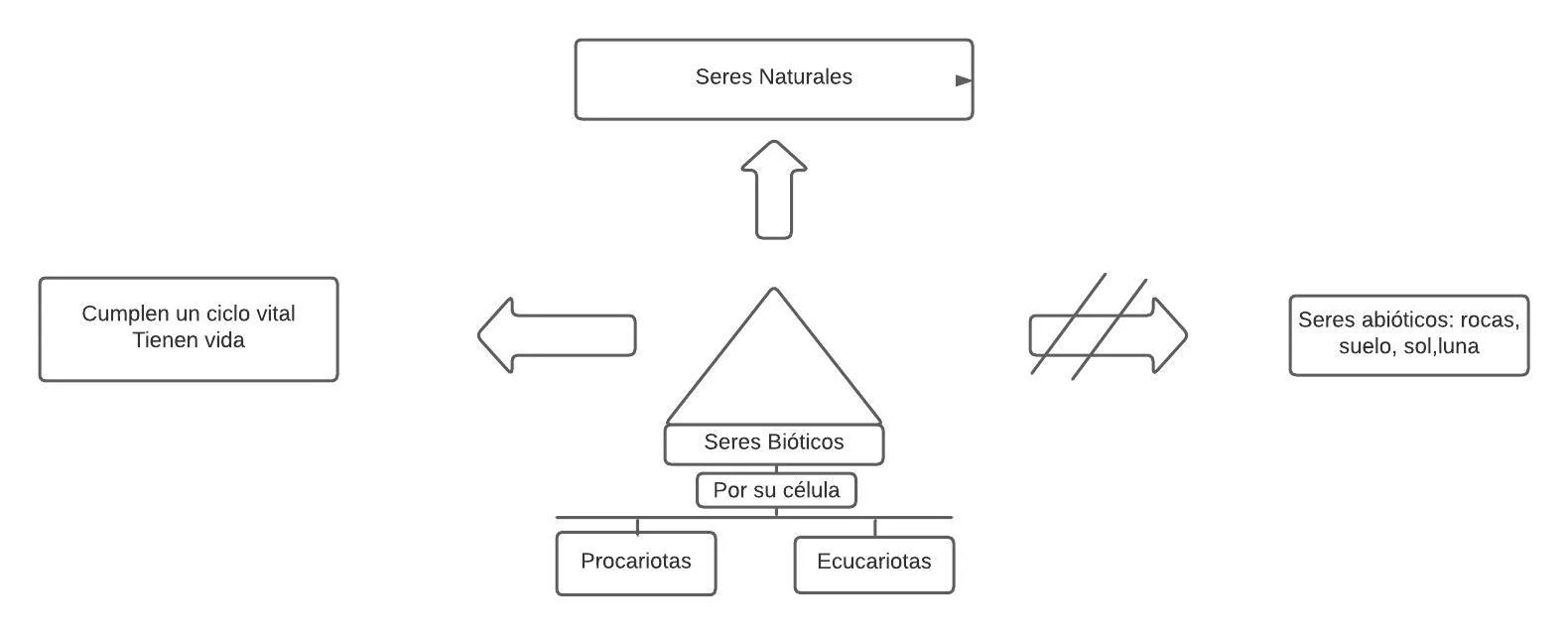 Pseudomentefacto seres biótico