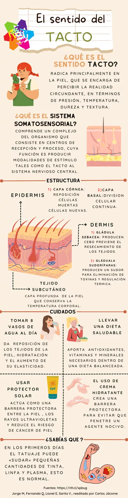 Infografía Sentido del tacto