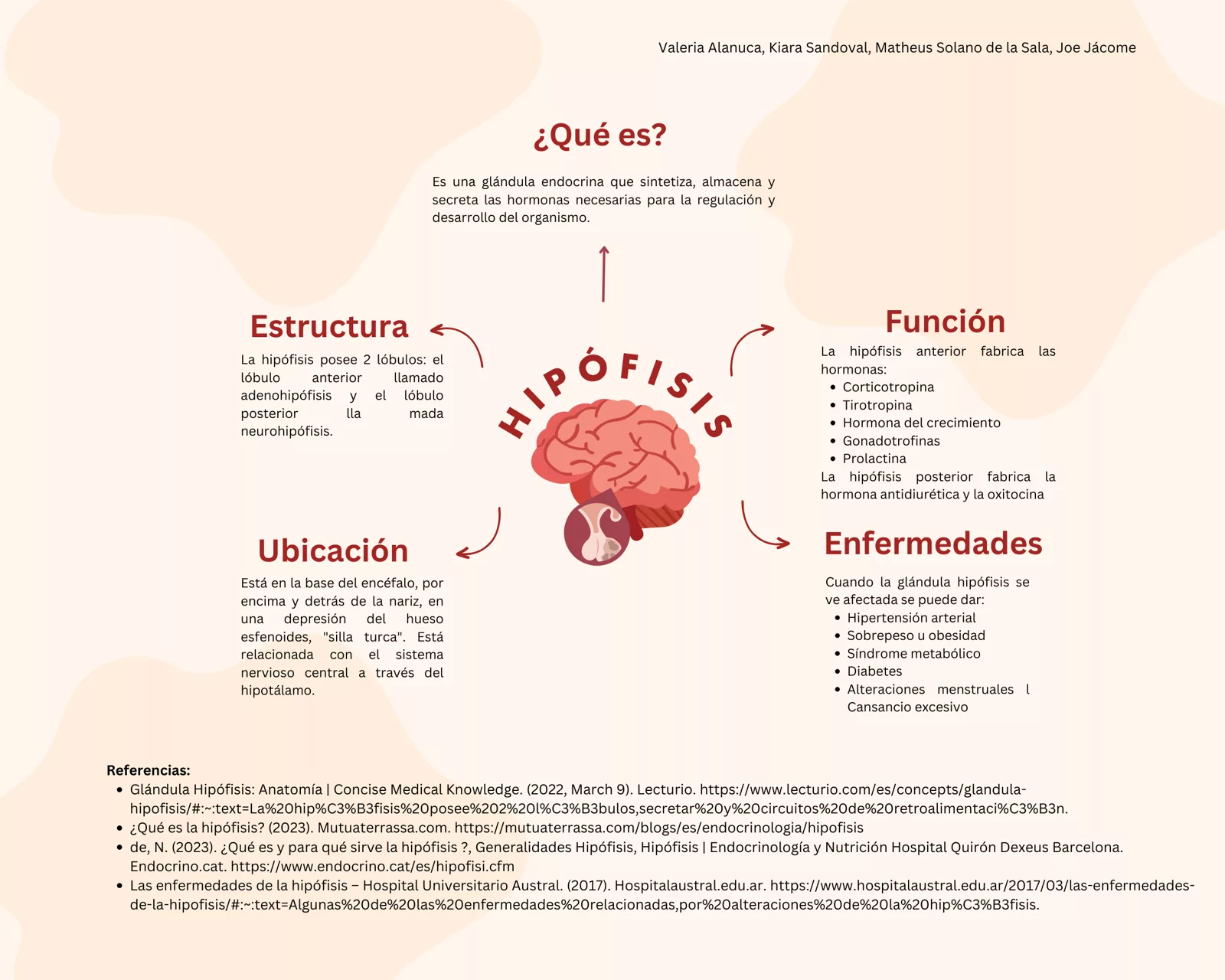 Infografía de la Hipófisis