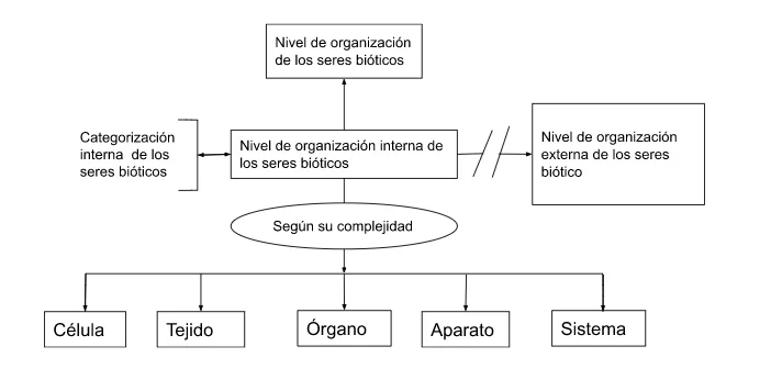 MENTEFACTO GENERAL NIVELES DE ORGANIZACIÓN INTERNA DE LOS SERES VIVOS