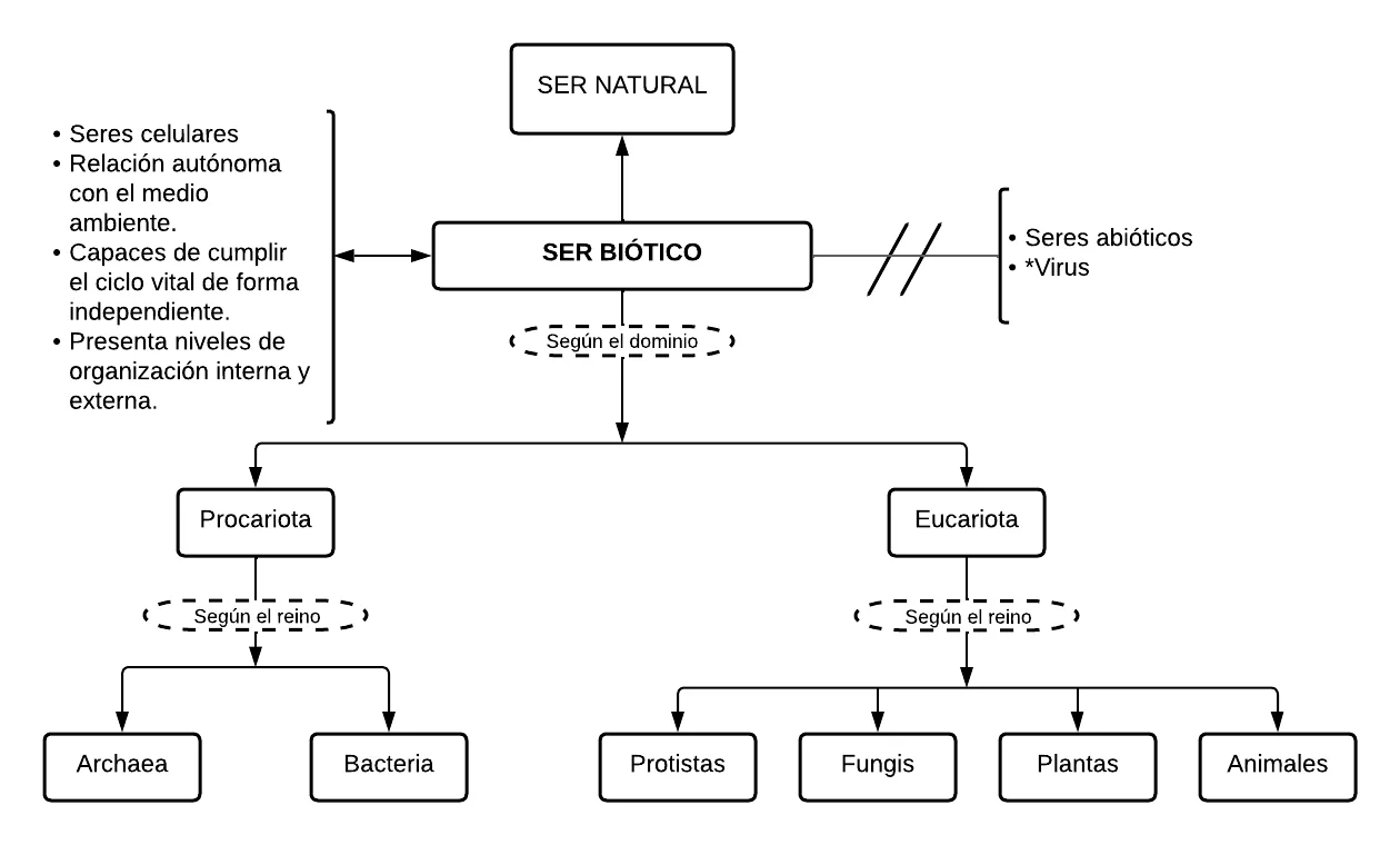 Mentefacto Conceptual Seres Bióticos