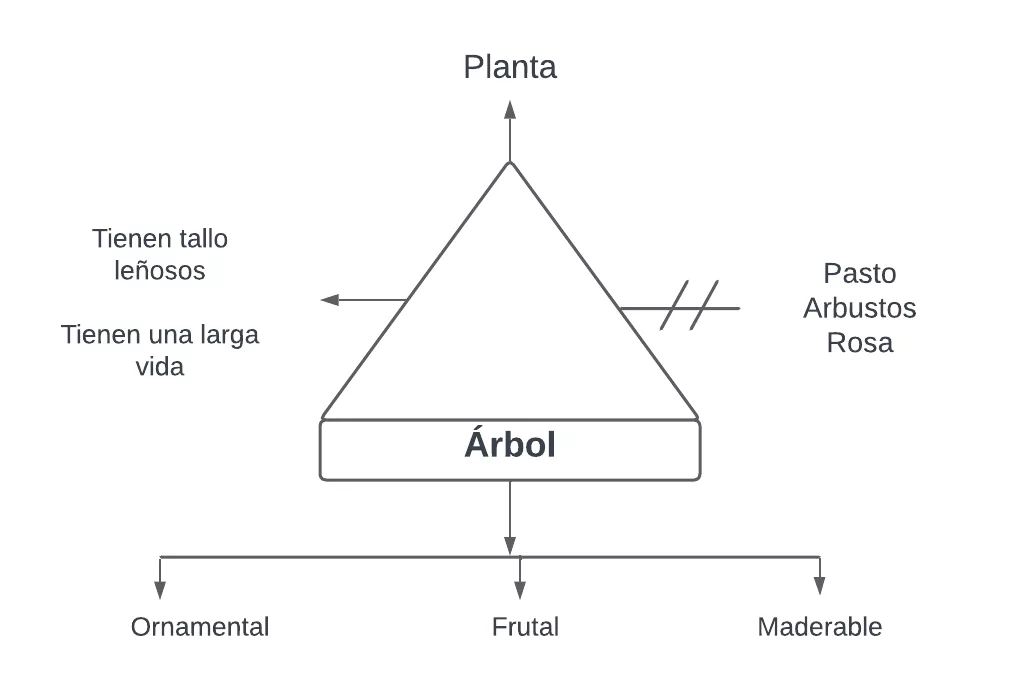 Pseudomentefacto árbol