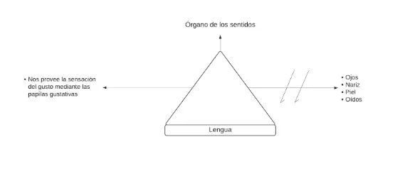 Pseudomentefacto Lengua