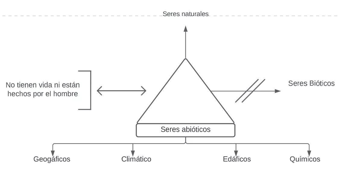 Pseudomentefacto Seres Abióticos
