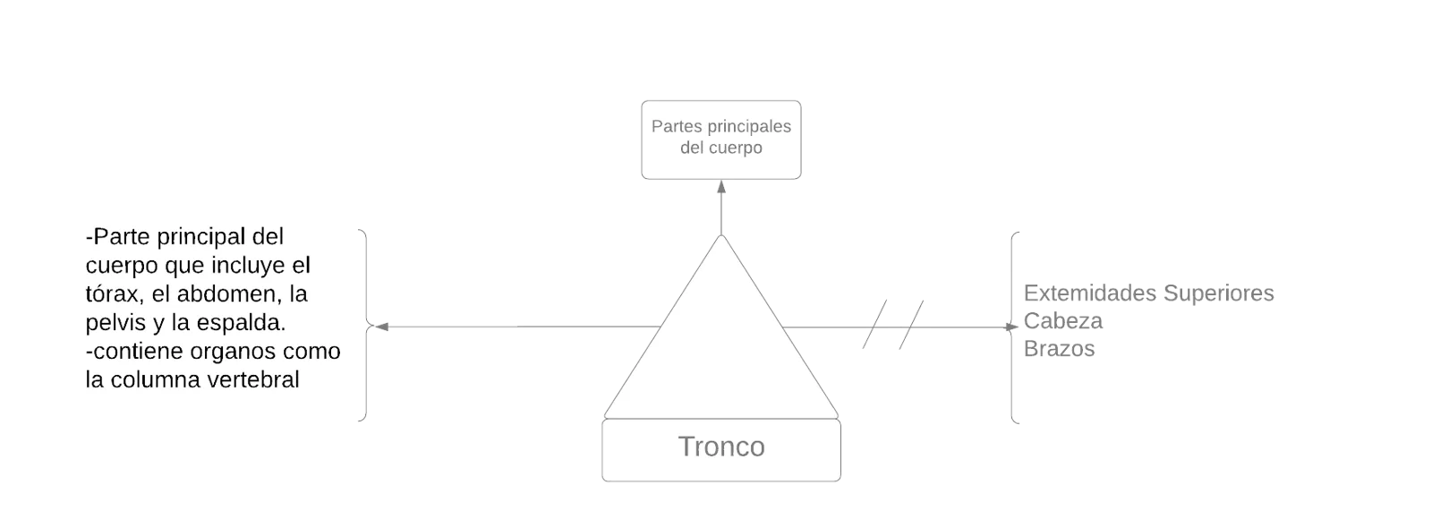 Pseudeomentefacto Tronco