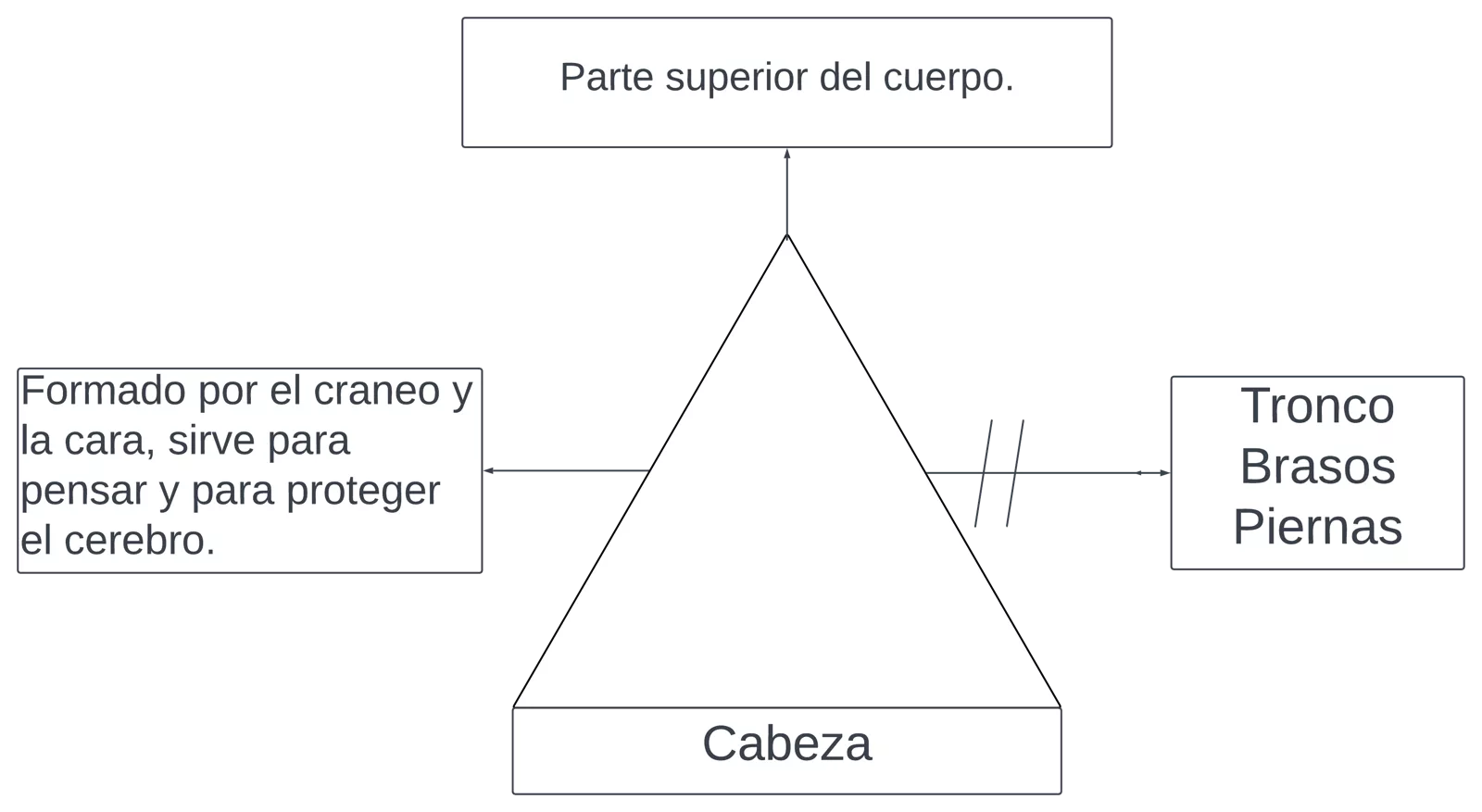 Pseudomentefacto de cabeza