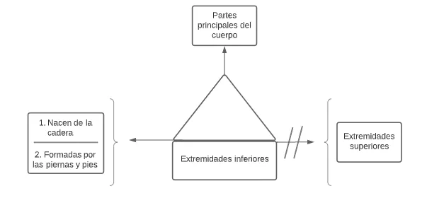 pseudomentefacto_extremidades_inferiores