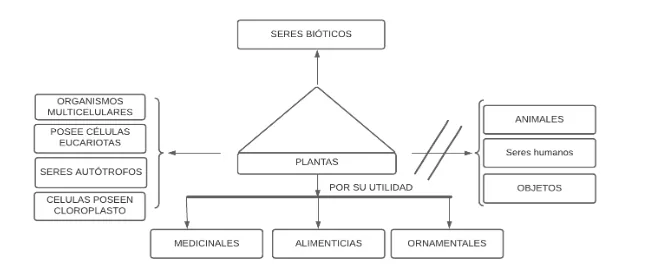 Pseudo Mentefacto Plantas