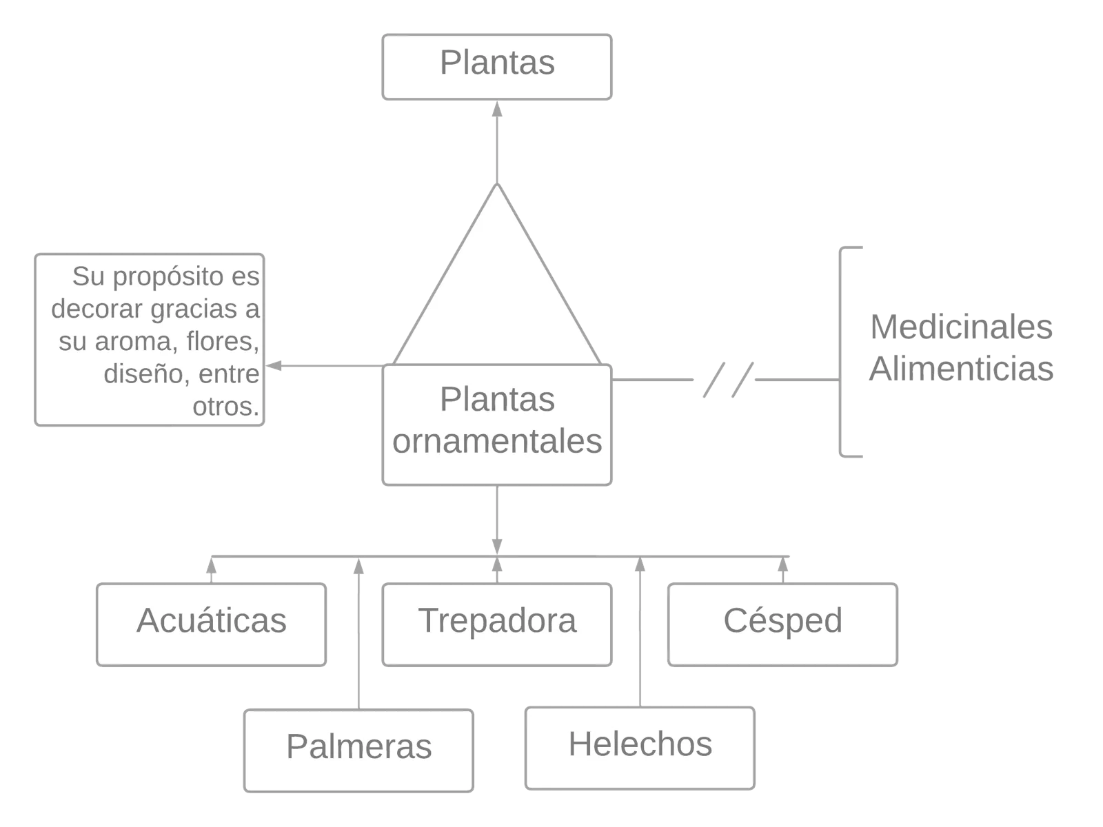 Pseuomentefacto plantas ornamentales