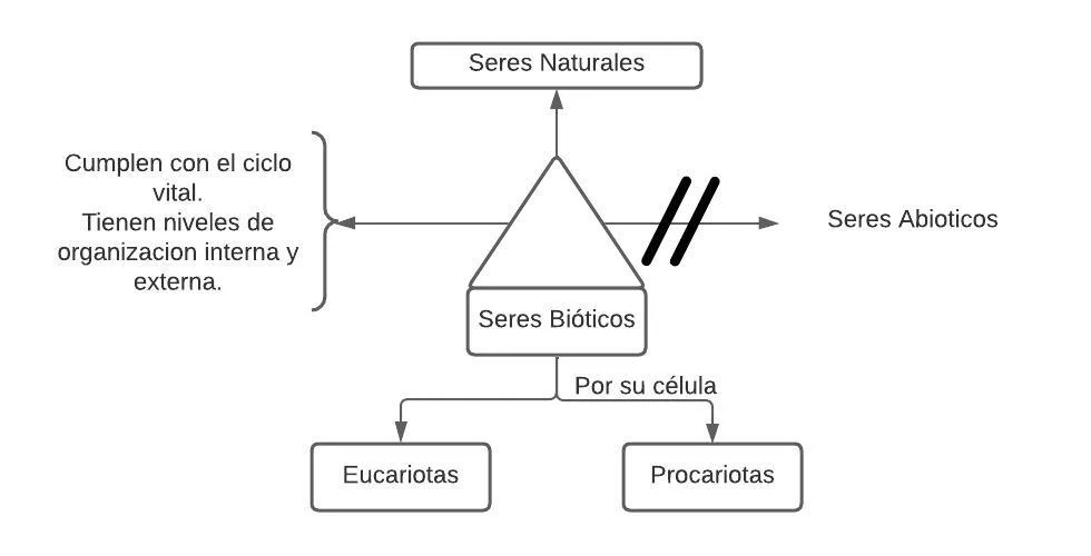 Peudomentefacto seres bióticos