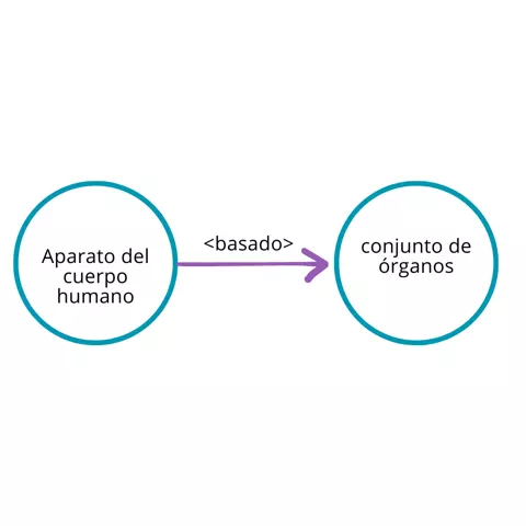 P2.1: Los aparatos del cuerpo humano basado en un conjunto de órganos.