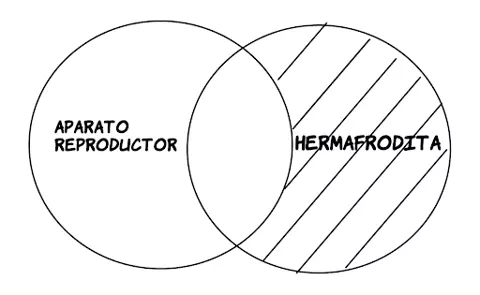 Pc: Algún aparato reproductor es hermafrodita.