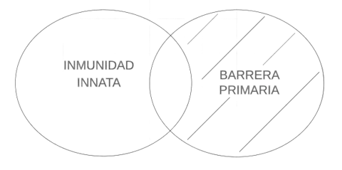 P4.2.1 Según sus barreras, alguna inmunidad innata es barrera primaria.