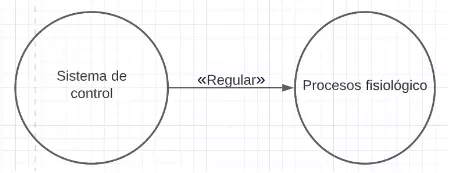 P.1.3 Todo sistema de control regula los procesos fisiológicos.