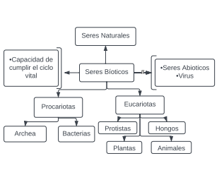 Archivo:Scrnli 26 4 2023 11-10-42.png