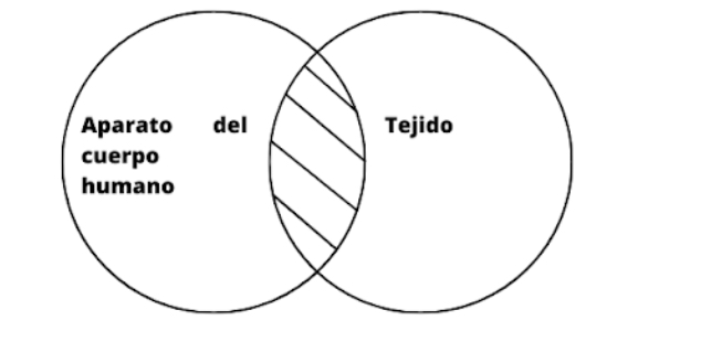 Archivo:Tejido .jpg