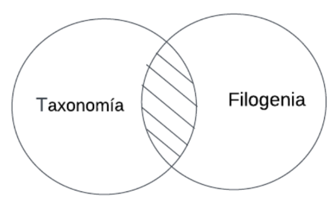 Archivo:Mentefacto P3.-.png