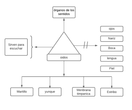 Archivo:PseudoMentefacto oídos.png