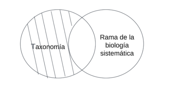 Archivo:Mentefacto Taxonomía.png