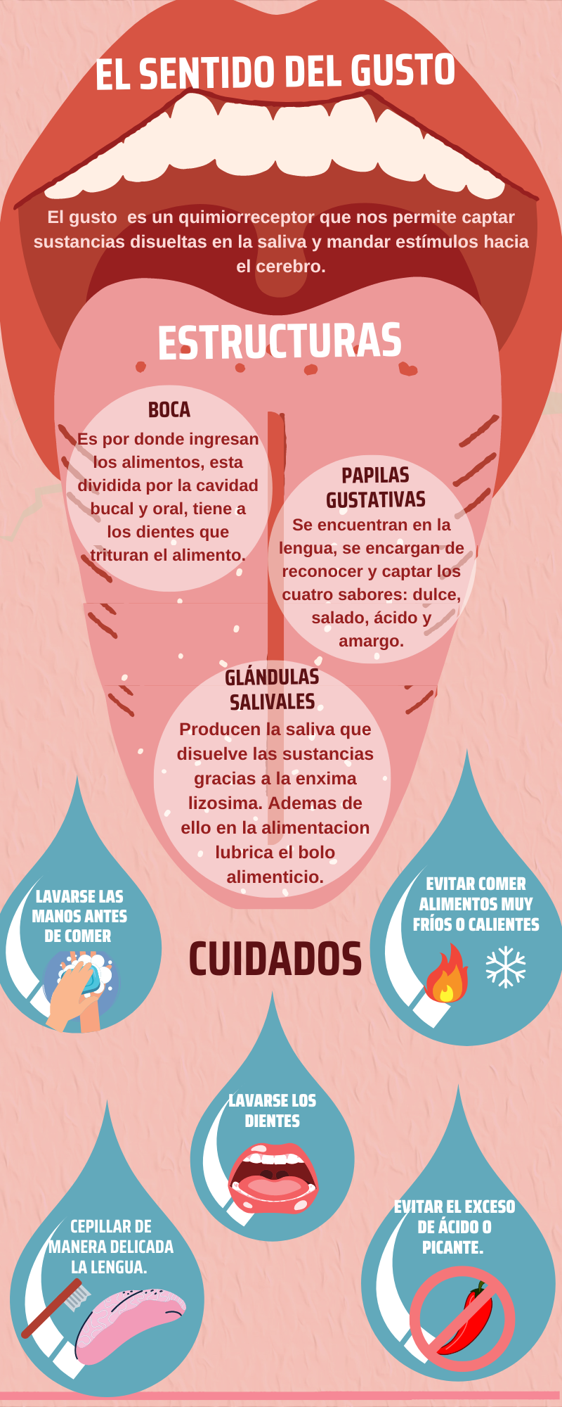 G5 SENTIDO DEL GUSTO INFOGRAFÍA.png