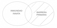 P4.2.1 Según sus barreras, alguna inmunidad innata es barrera primaria.