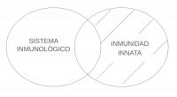 P4.2. Algún sistema inmunológico es inmunidad innata