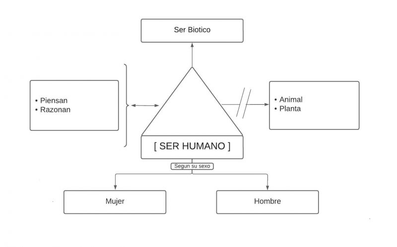 Archivo:Mentefacto Ser Humano.jpg