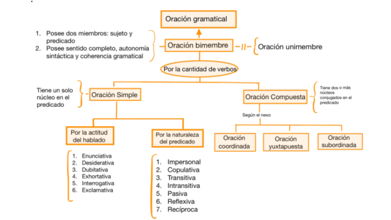 Archivo:Mentefacto oracion bimembre.png