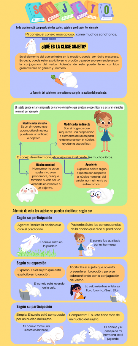 Infografía de sujeto.png