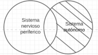 Proposición P4.2.2