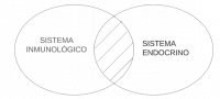 P3.2. Ningún Sistema inmunológico es sistema endocrino