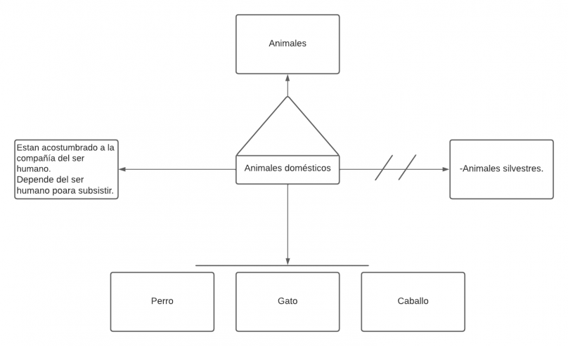 Pseudomentefacto animales domésticos