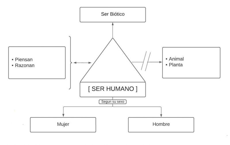 Archivo:Pseudomentefacto Ser Humano.jpg