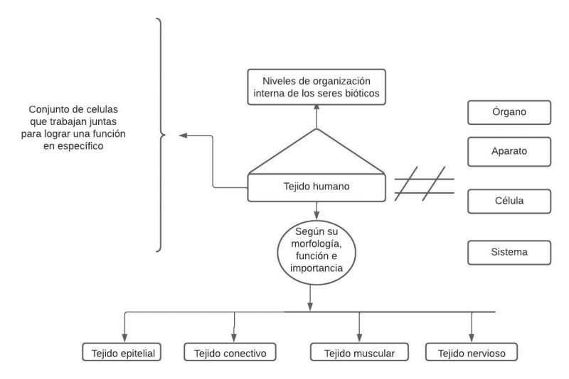Archivo:Producciongrupaltejido (1).jpg
