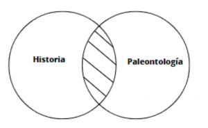Paleontólogia .jpg