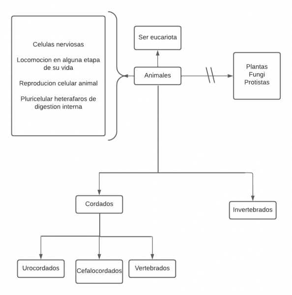 Archivo:Metefacto Animal.png