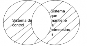 Silogismo aristotélico sistema de control - sistema que mantiene la homeostasis.png