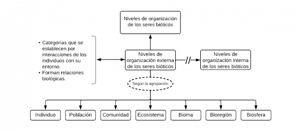 Mentefacto Conceptual Verbo (Estudio Semántico)