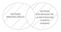 P2.3. Todo sistema inmunológico es el sistema encargado de la defensa del cuerpo humano.