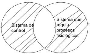 Silogismo aristotélico sistema de control - sistema que regula procesos fisiológicos.png