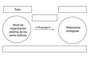 P2.2: Todo nivel de organización externa de los seres bióticos forma relaciones biológicas.