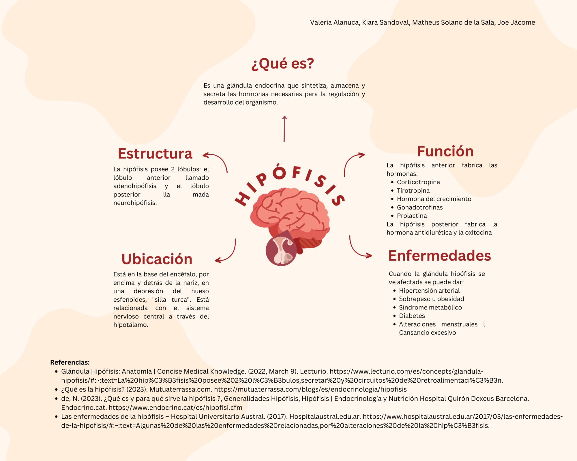 Infografía Hipófisis - WikiLev