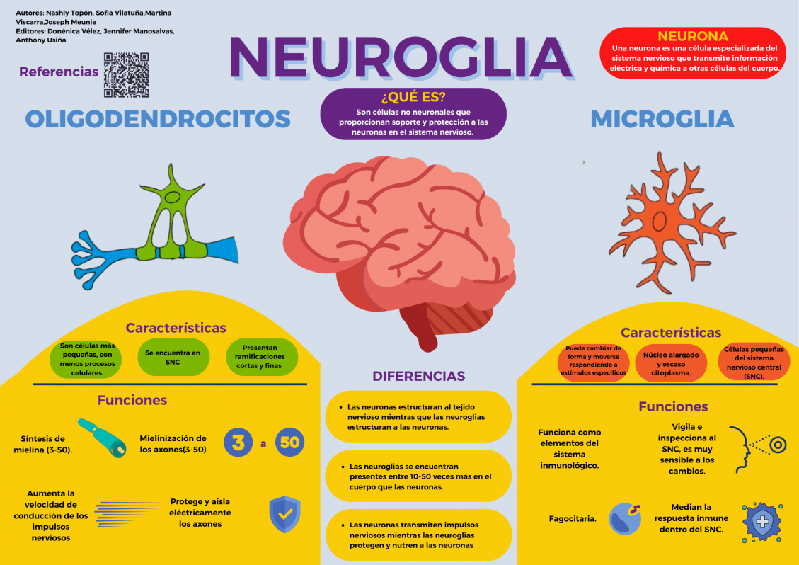 Infografía Neuroglia