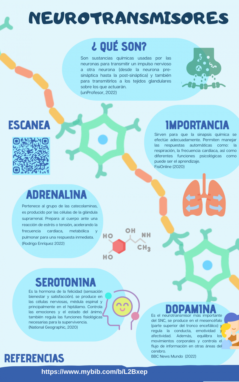 Infografía Neurotransmisores