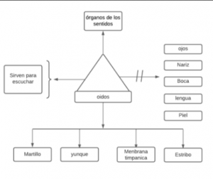 PseudoMentefacto_oídos