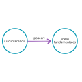 P2.3: Toda circunferencia posee líneas fundamentales.