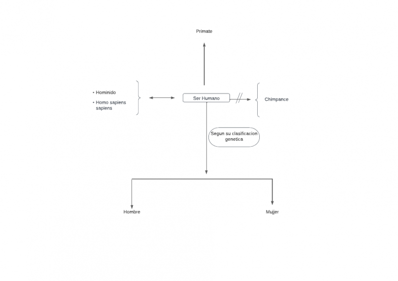 Archivo:Mentefacto ser humano 3.png