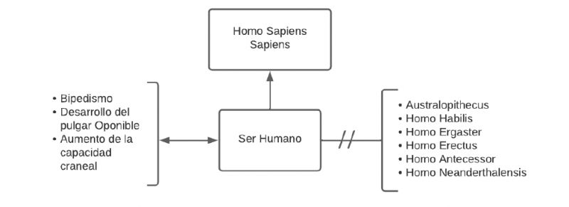 Archivo:SERHUMANO MENTEFACTO.jpg
