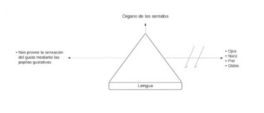 Pseudomentefacto Lengua