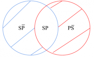 P4.1.1.1- Algún ser Procariota es Bacteria